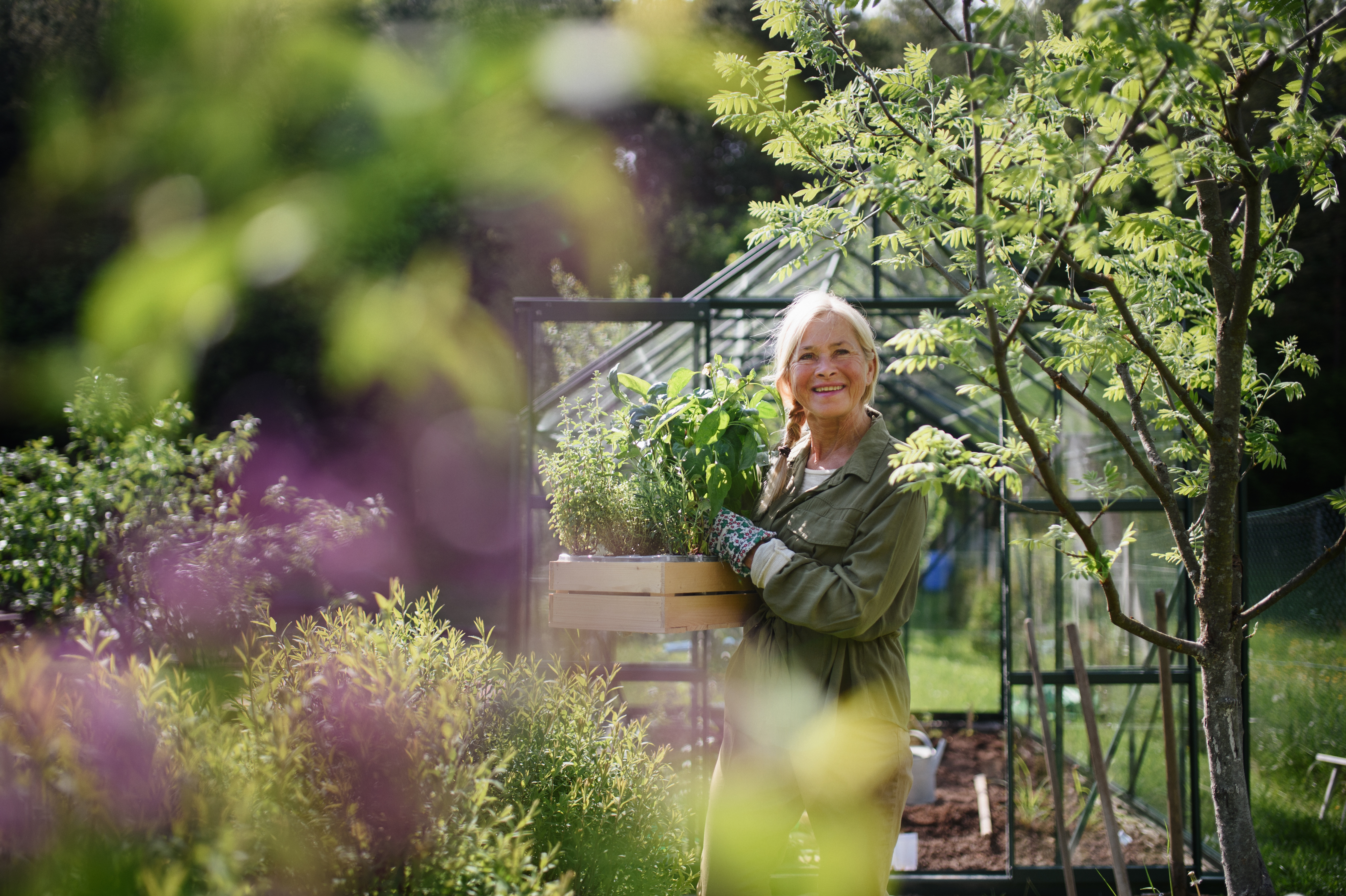 Understanding the difference between hobby farms and working farms